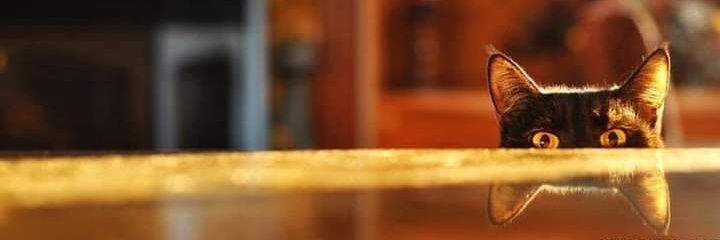 JuhCosta's profile banner image