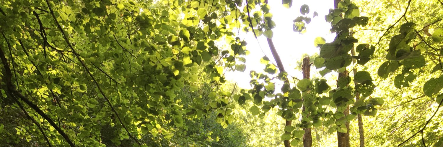 Montse Pujol Marzo banner