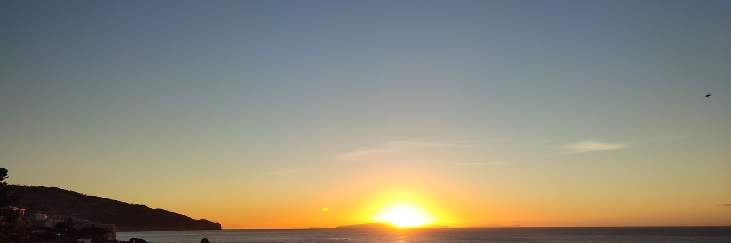 run_forest_run banner