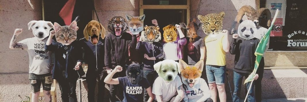 Forumgbg's profile banner image