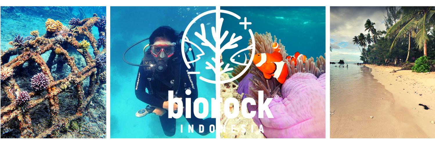 BiorockI's profile banner image