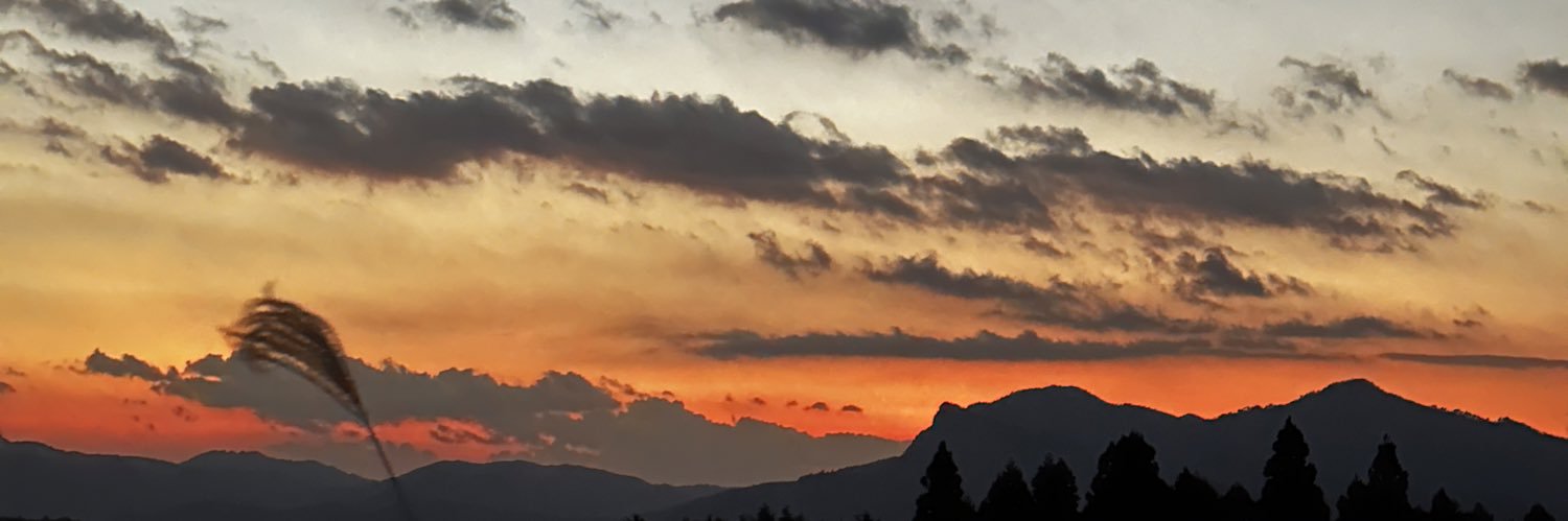 tomone_d's profile banner image