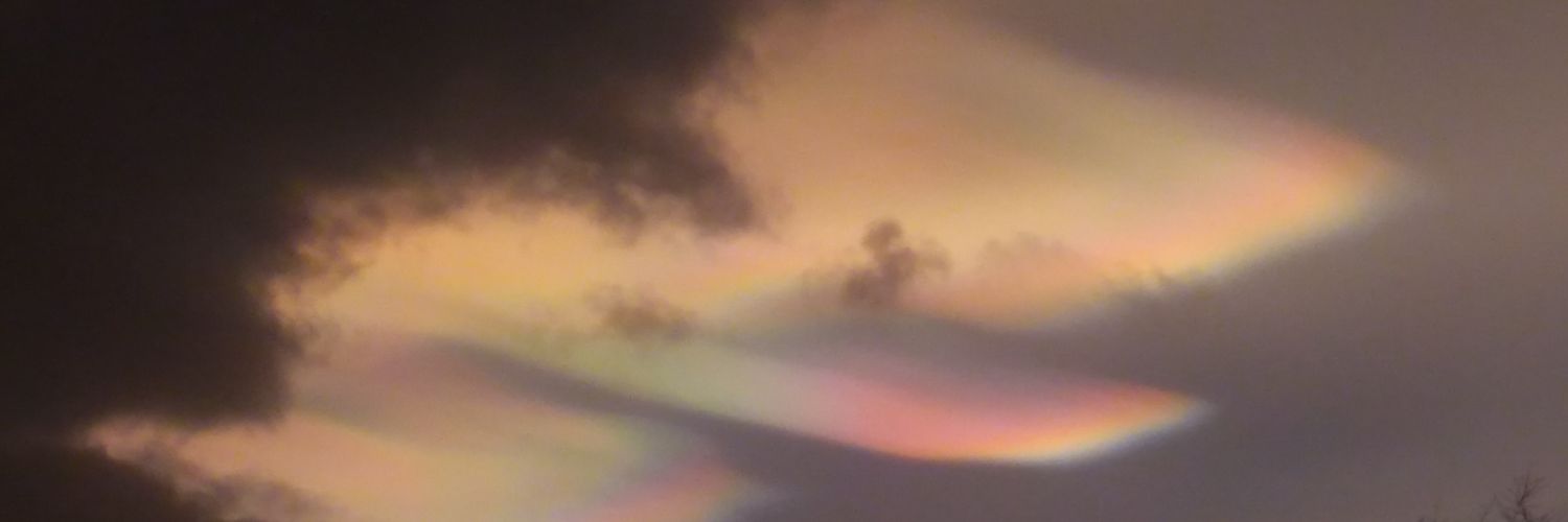 SandyBatsford's profile banner image
