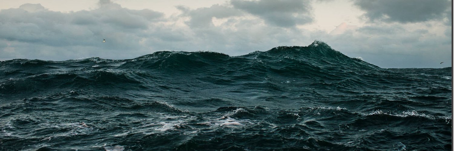 Nimaeryn's profile banner image