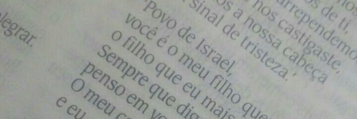 NiCavalheiro's profile banner image
