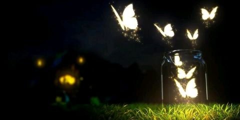 JCNP167's profile banner image