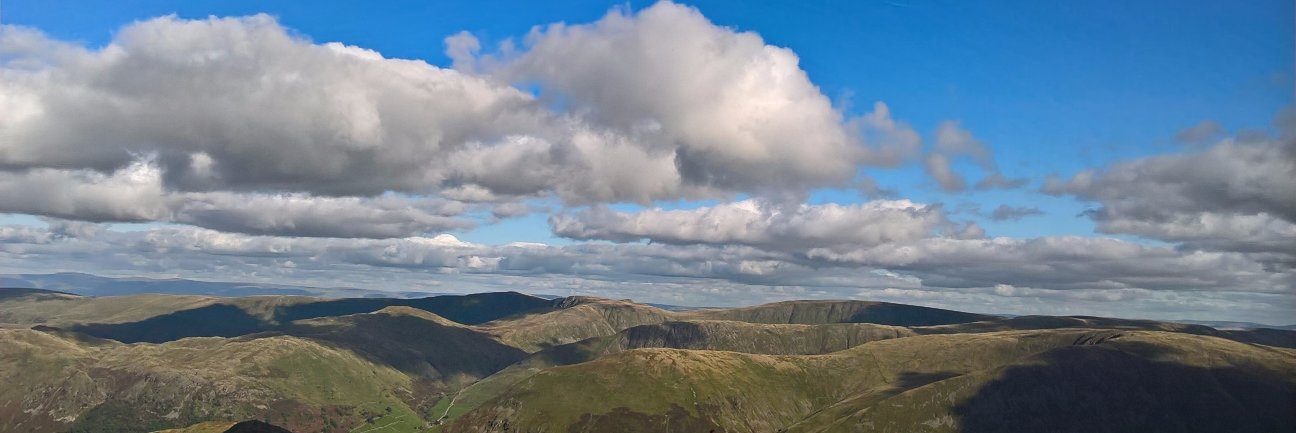 sharon snaylam banner