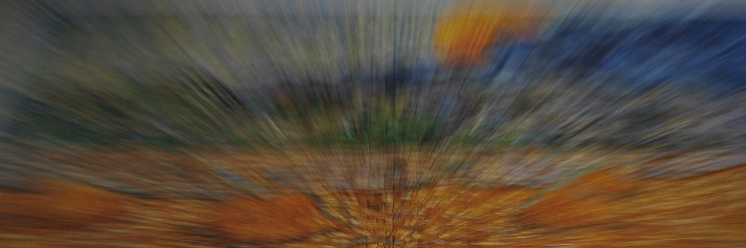 Flavia Lacerda banner