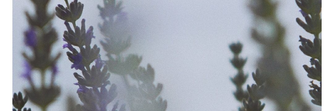 monig_f's profile banner image