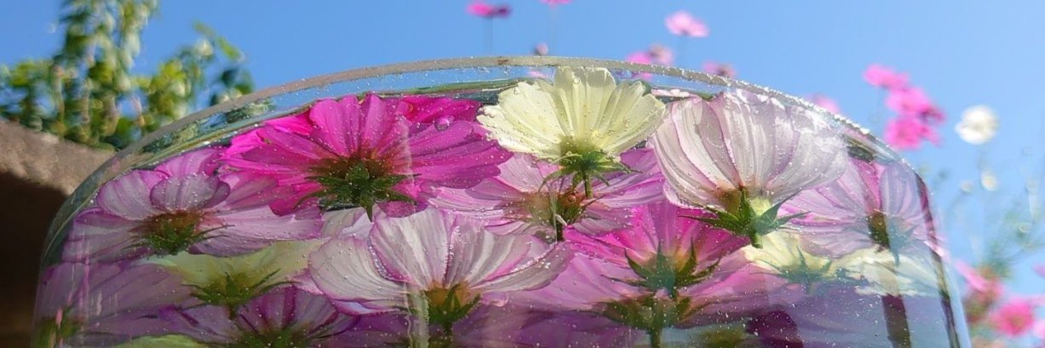 cheee5555's profile banner image