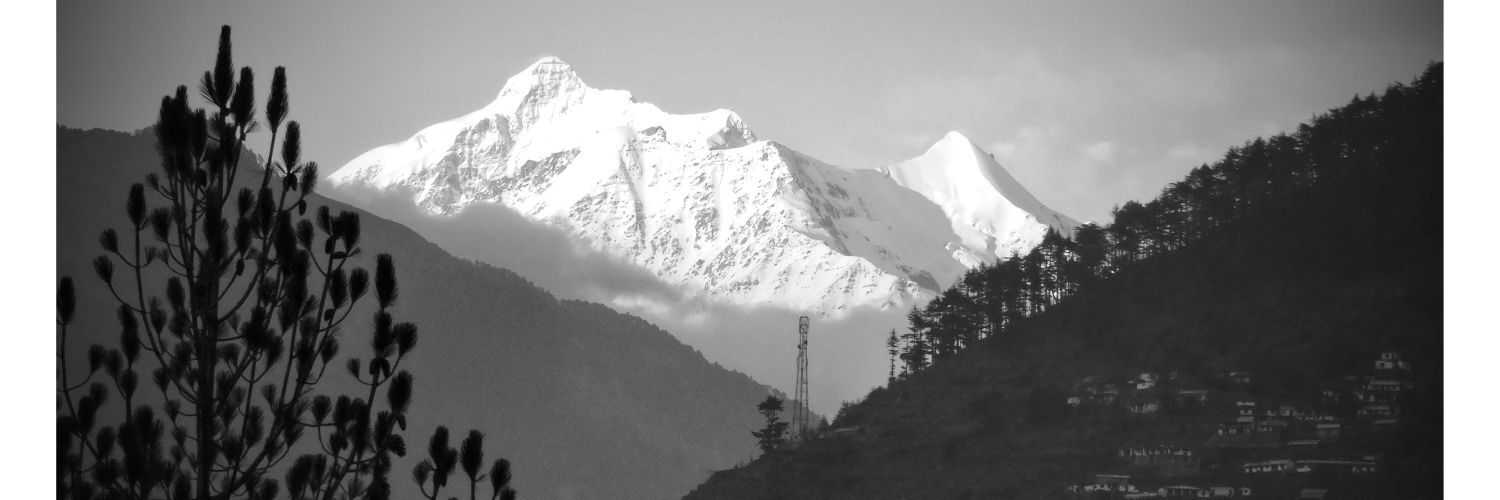 DMittal1329's profile banner image