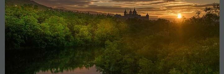 Bea72_rubia's profile banner image