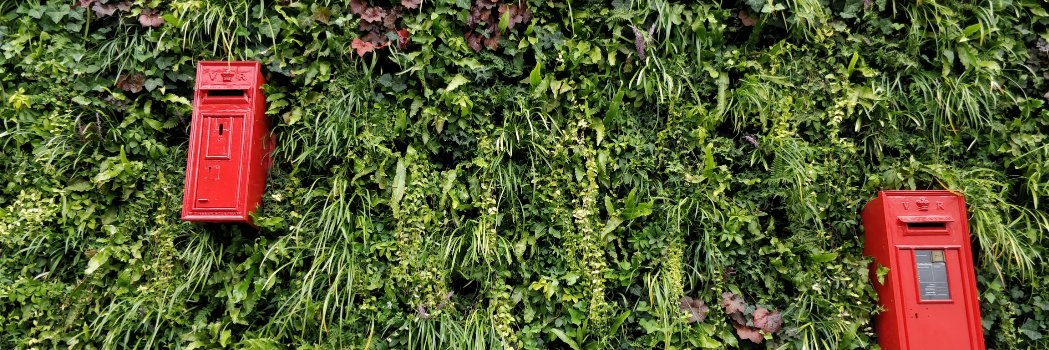 Hannah Frick 🌻 - @hfrick@mastodon.social banner