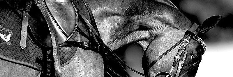 PolowomenOK's profile banner image
