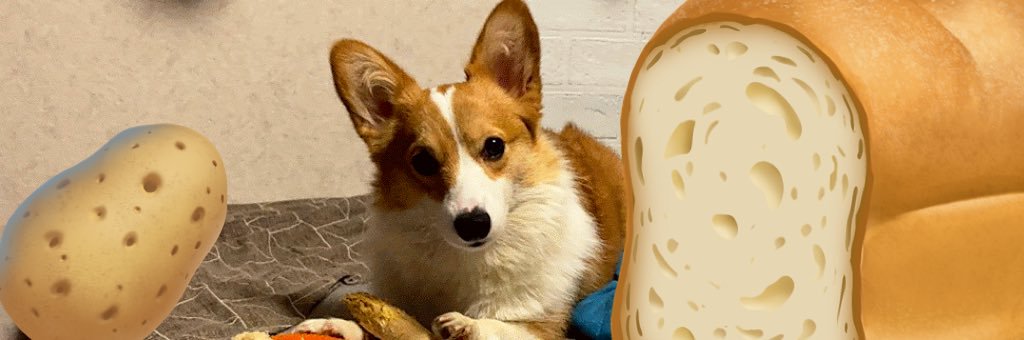 Abbey_BASIC's profile banner image
