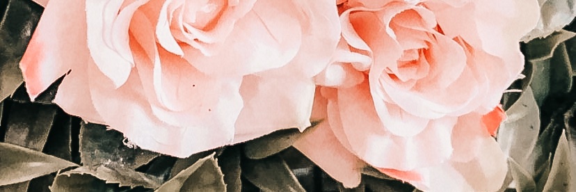 Cezzyg's profile banner image