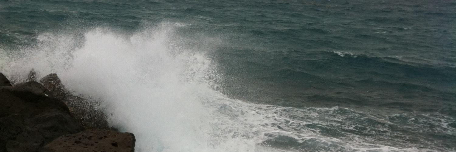 pupas21's profile banner image