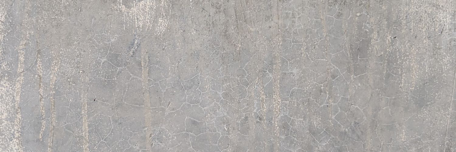richieleon__'s profile banner image
