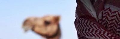 mo_ed93's profile banner image