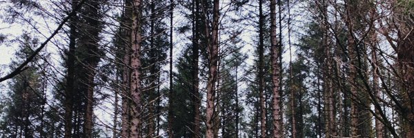 torikravitz Profile Banner