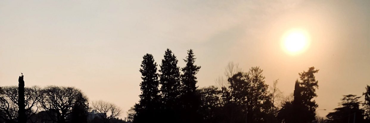 Martinez_N72's profile banner image