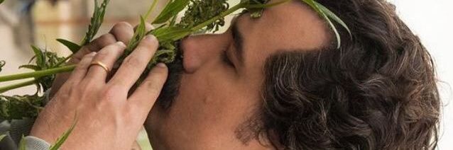 ppintang_'s profile banner image