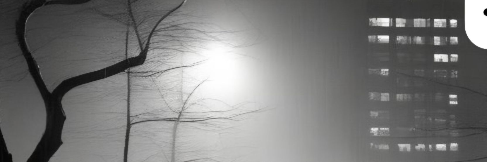 egemento's profile banner image