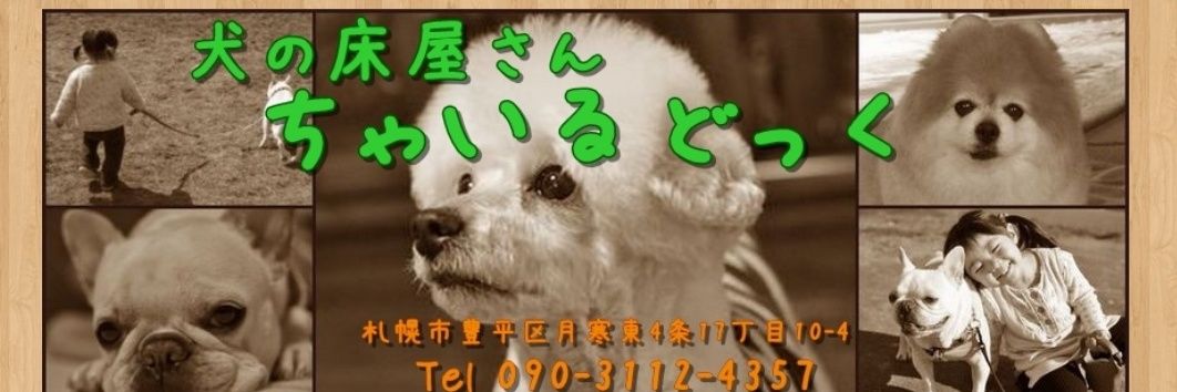 childog2003's profile banner image