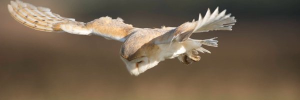 watsoncje Profile Banner