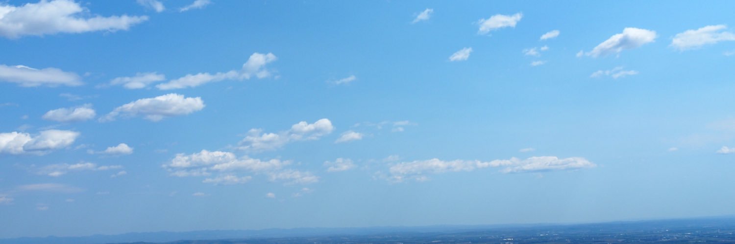 D_Tokage's profile banner image