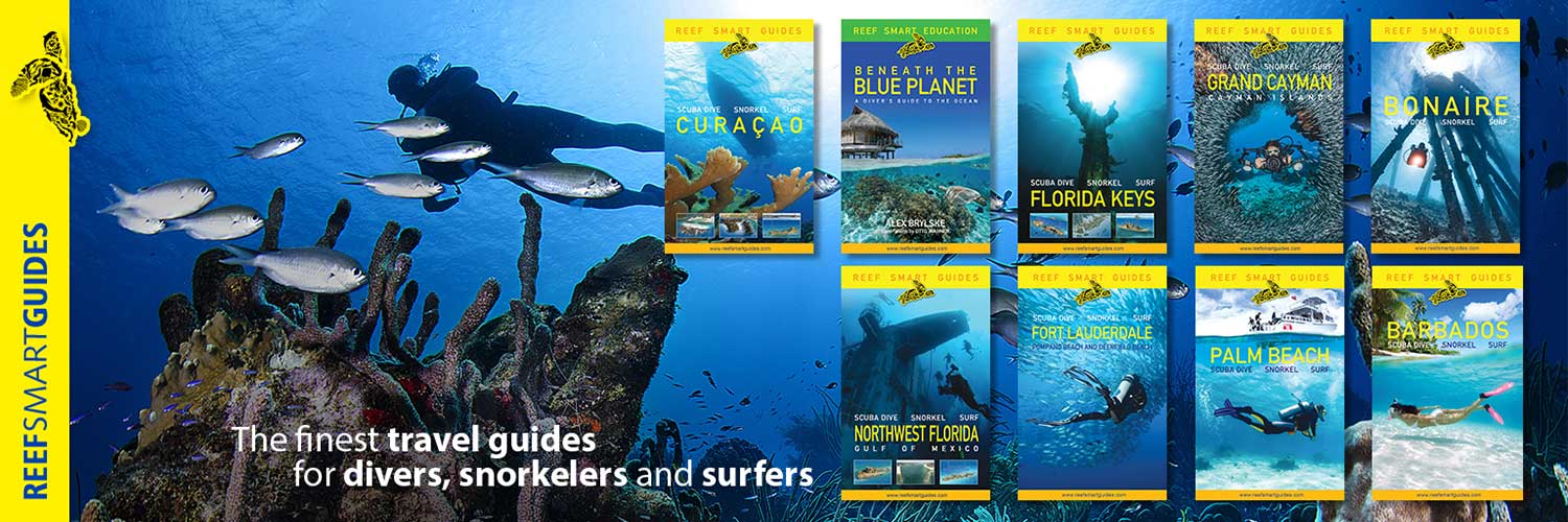 ReefSmart's profile banner image