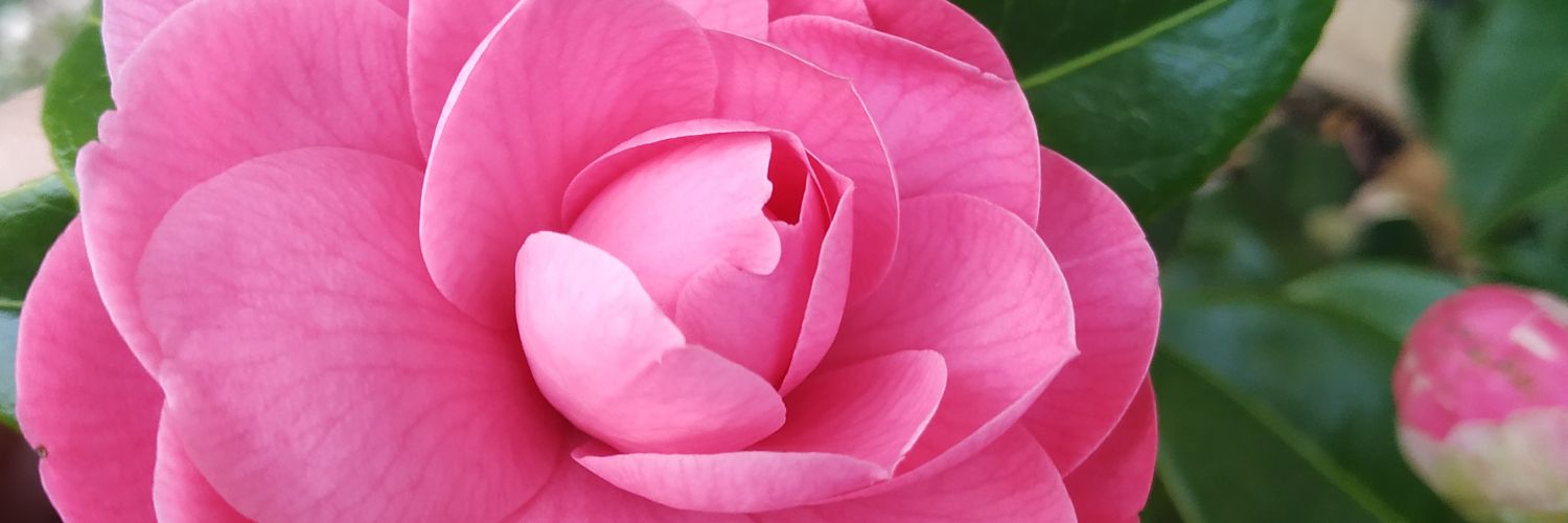 maseyus's profile banner image