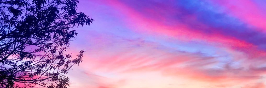 Lamia_elg's profile banner image