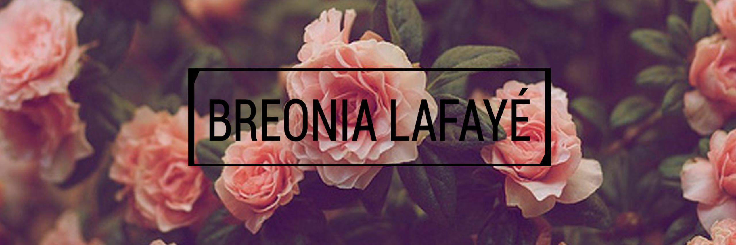 BreoniaLafaye's profile banner image