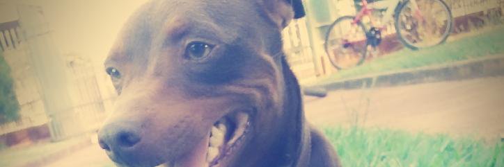 MALENN7's profile banner image