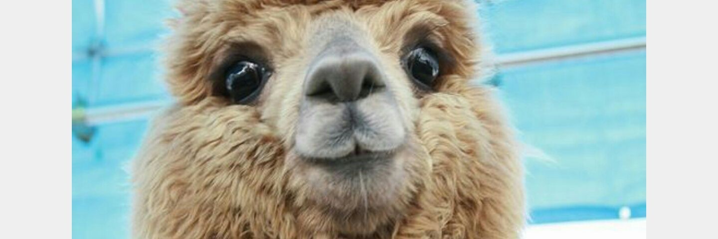 Rayymaaa's profile banner image