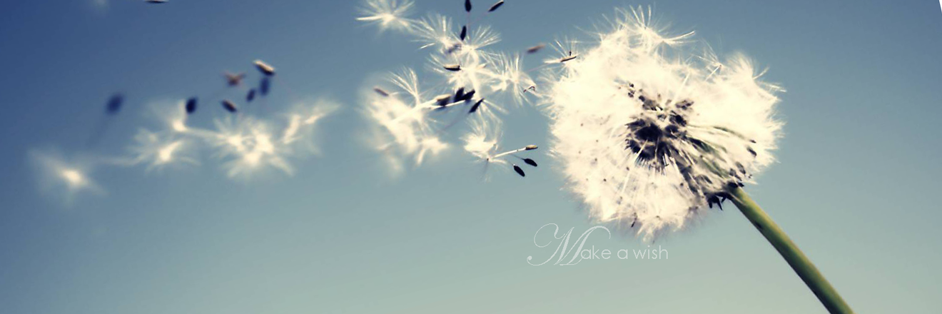 loislaput's profile banner image