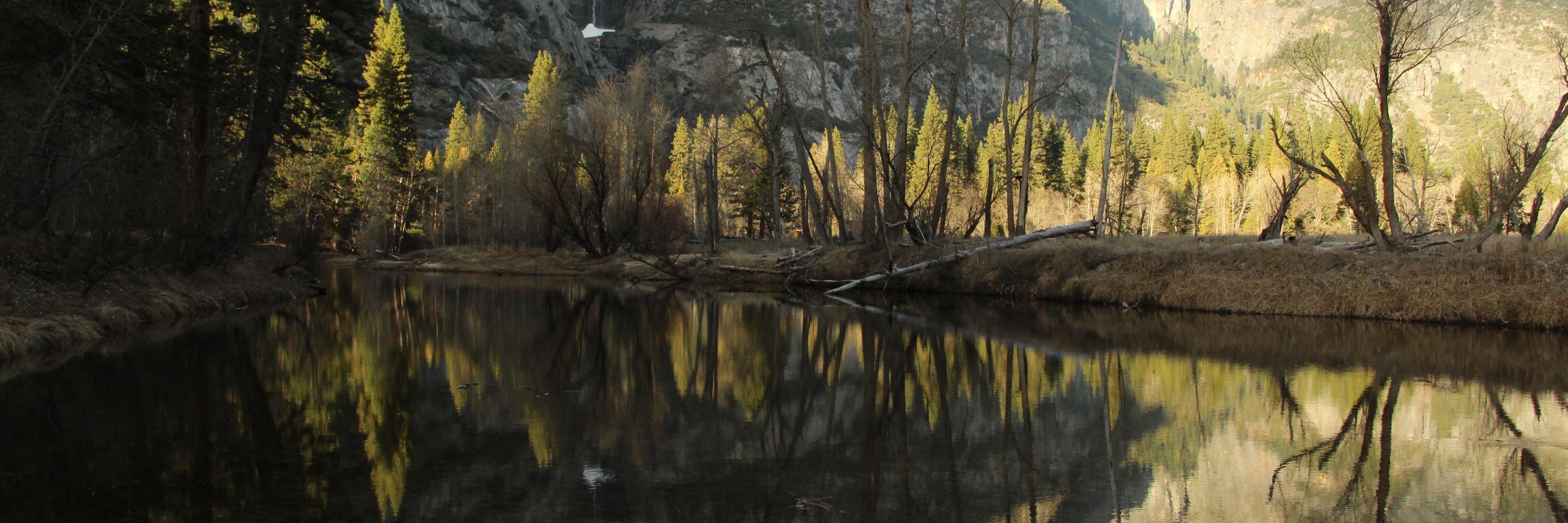 Juliano Calil banner