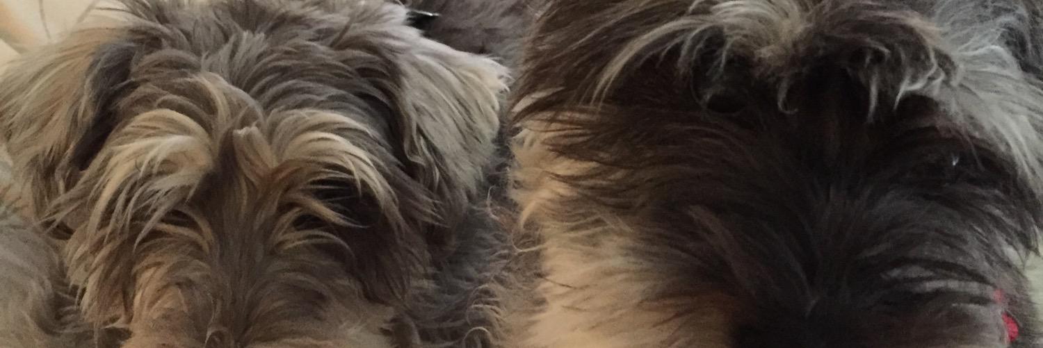 nerdVITZ's profile banner image