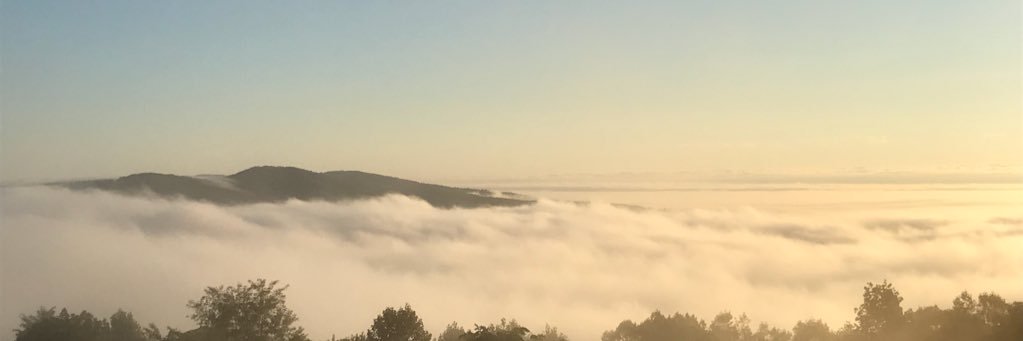 rosalee_810's profile banner image