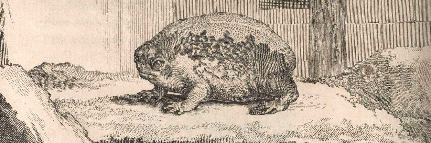 zbigniewcebula banner