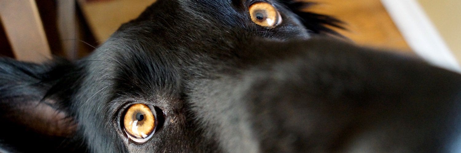 natecalhoon's profile banner image