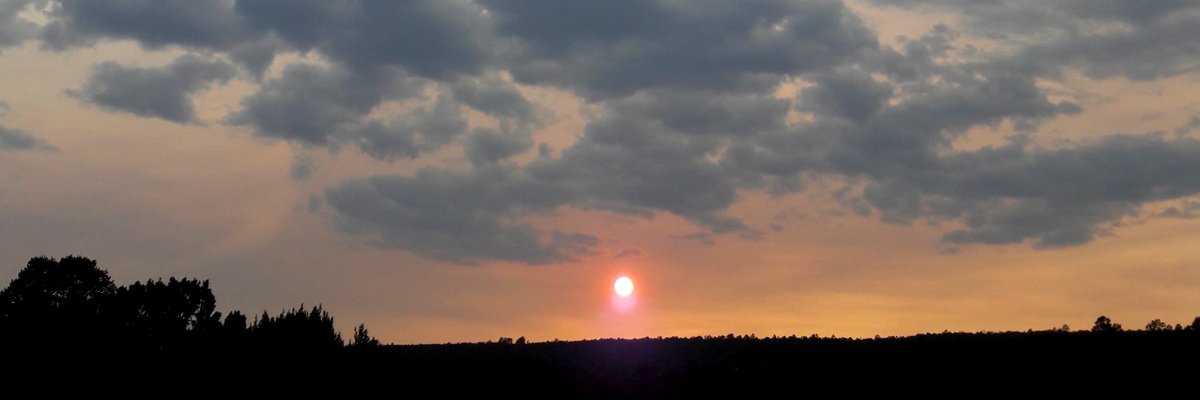 mindless_t's profile banner image