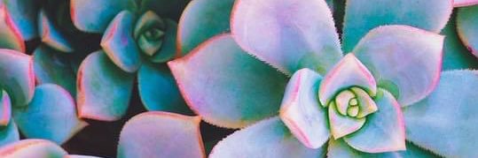 MadisonGroettum's profile banner image
