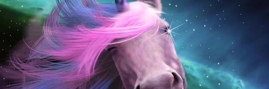 Lubos Buracinsky banner