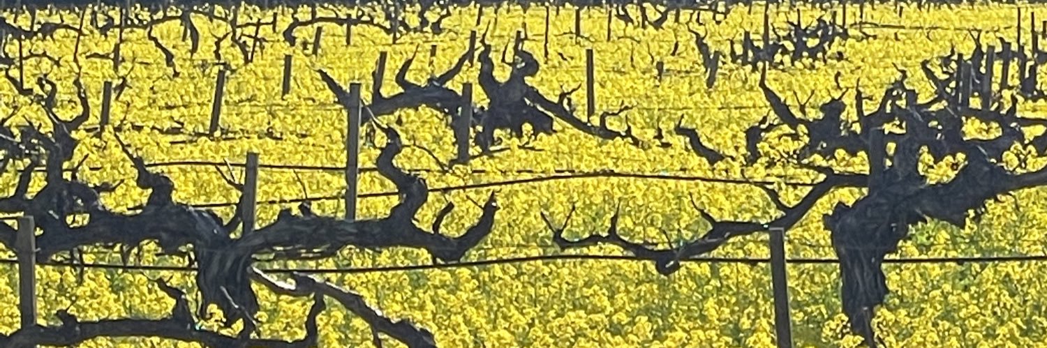 QueensFoolMusic's profile banner image