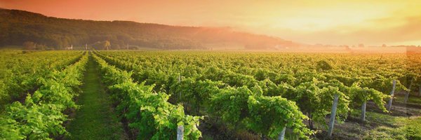 BishopsCellar Profile Banner