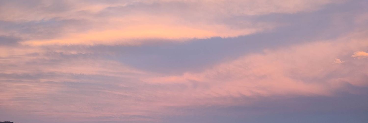 Scarleth_grey's profile banner image