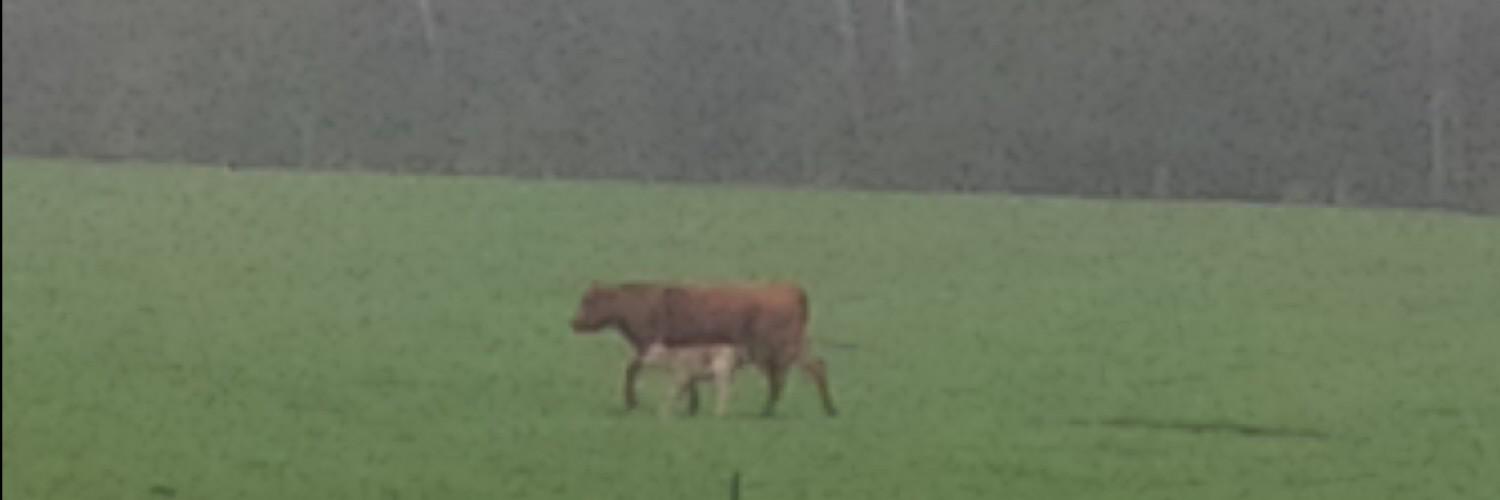 John McNaughton🇨🇦 banner