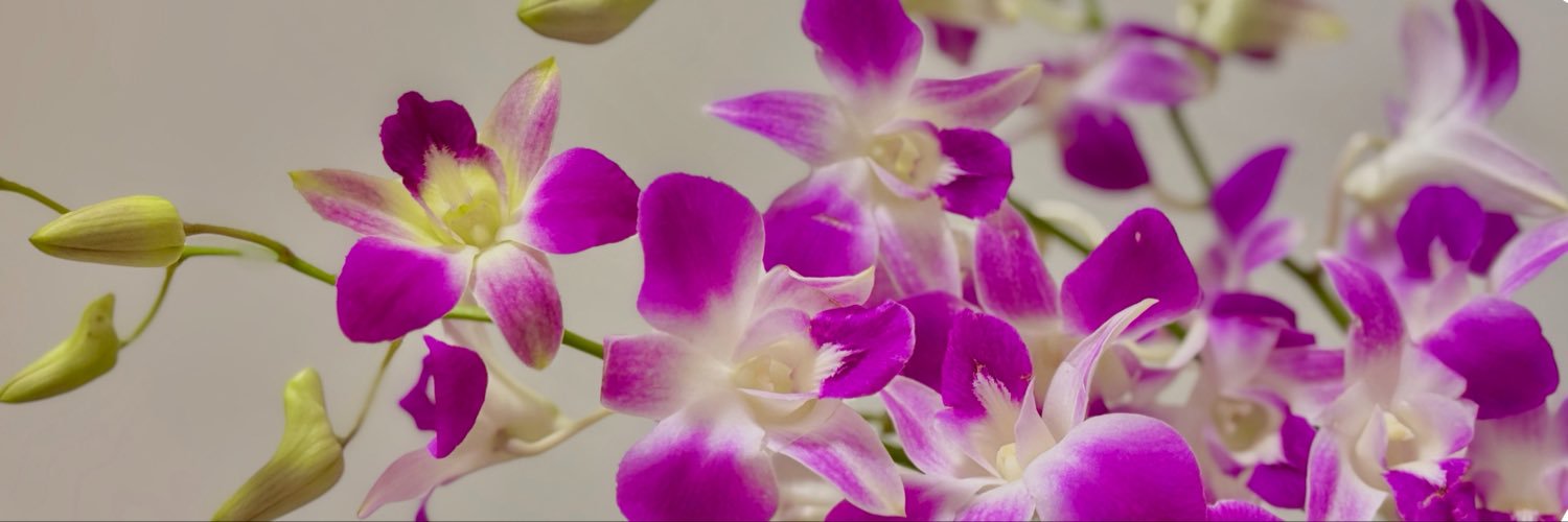 7m__m4's profile banner image